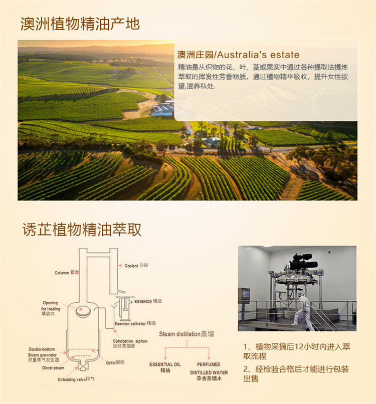 诱芷UZ催情精油 女士性欲提升 纯天然